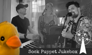 Sock Puppet Jukebox, Salisbury Party Band - Covers and Requests