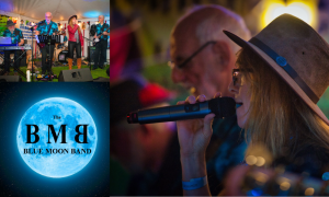 The Blue Moon Band Salisbury Available to book