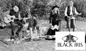 Black Iris Band Salisbury Wiltshire, available to book